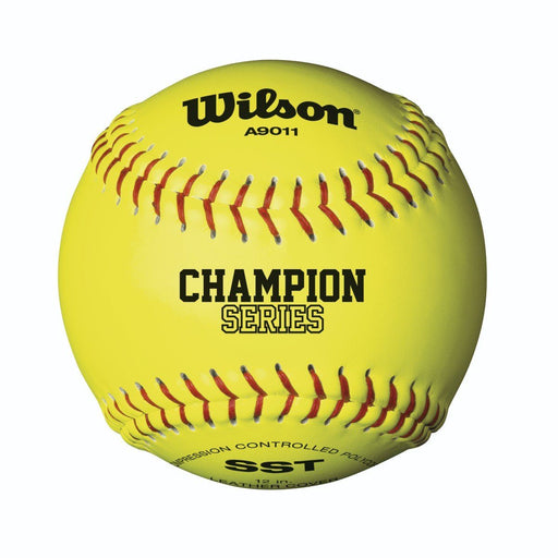 Wilson Baseball A1150 Approved for Youth League Play Backyard and Sm Ball